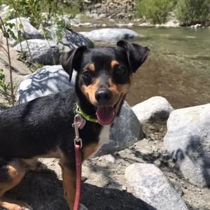 Meet your Posher, Kinsey